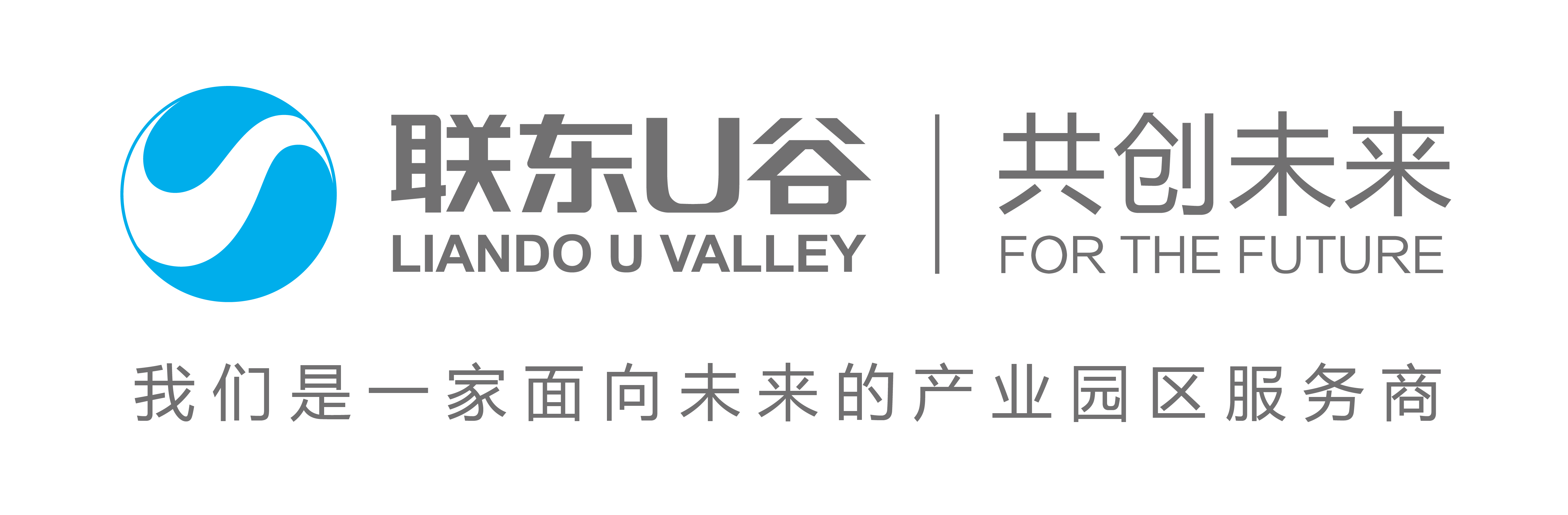 上海金效